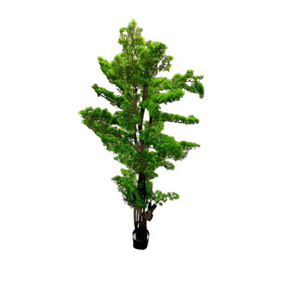 Bonsi Potted Tree - 170cm - Image 4
