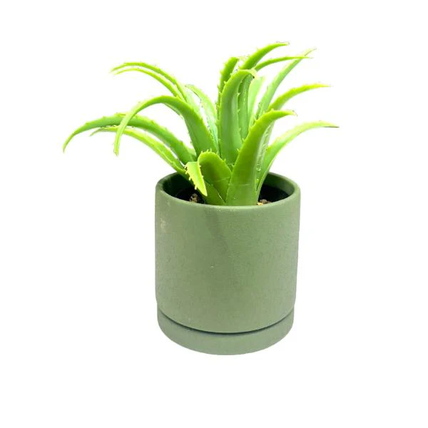Earthy Pot - 11cm x 11cm x 10.5cm - Image 6