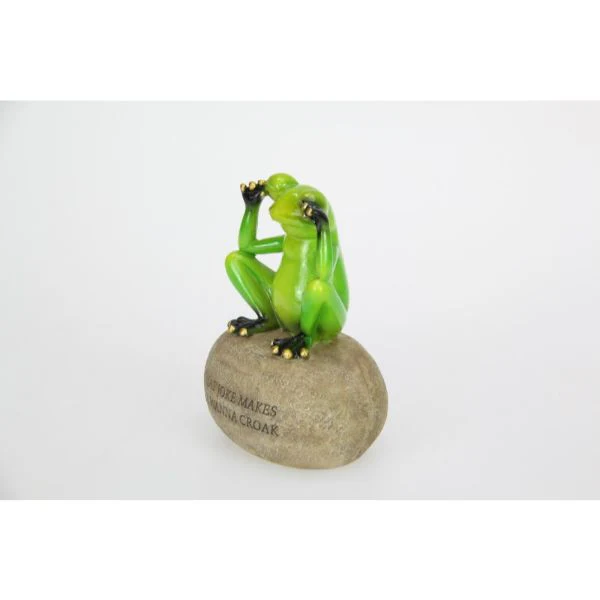 Frog on Rock with Joke Wording - 12cm - Image 3