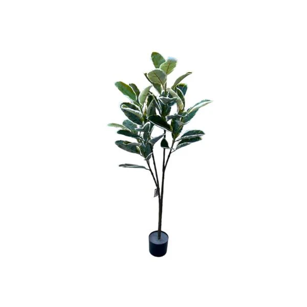 Banana Leaf Money Tree - 145cm - Image 2