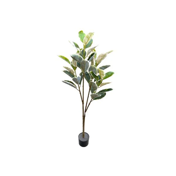 Banana Leaf Money Tree - 145cm - Image 4