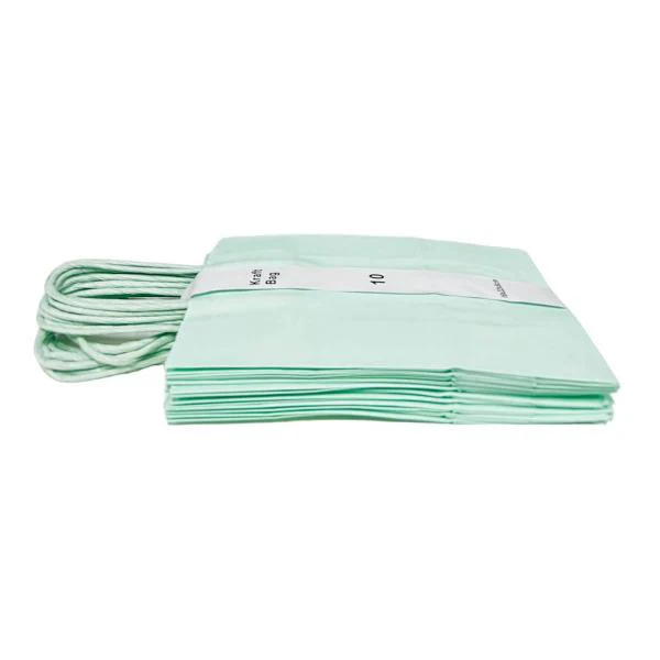 10 Pack Mint Green Kraft Bag - 16cm x 22cm x 8cm - Image 2