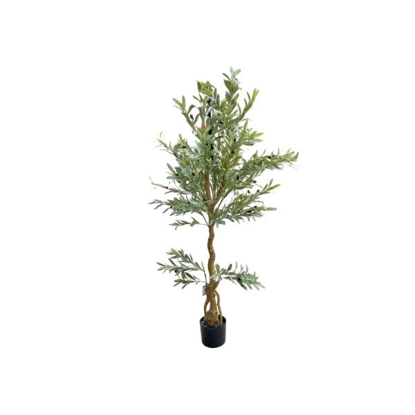 Olive Tree - 170cm - Image 10