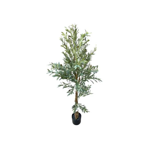 Olive Tree - 170cm - Image 11