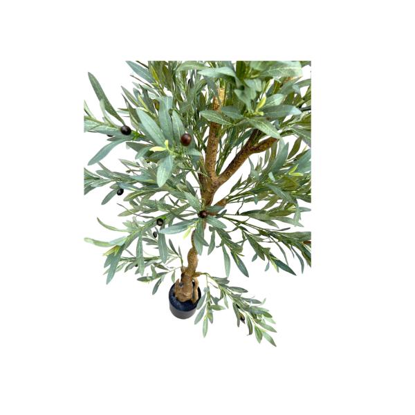 Olive Tree - 170cm - Image 2