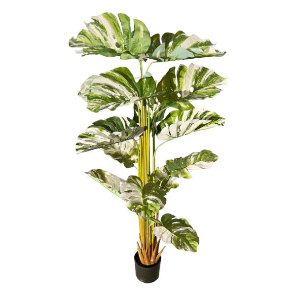 Bamboo Tree - 175cm - Image 2