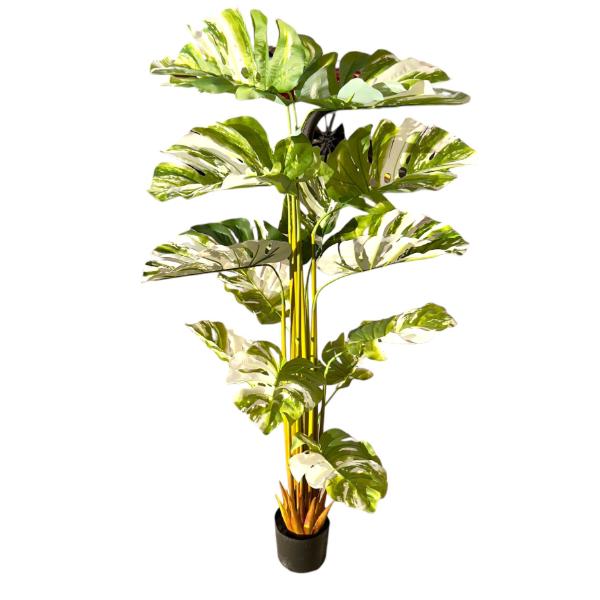 Bamboo Tree - 175cm - Image 3