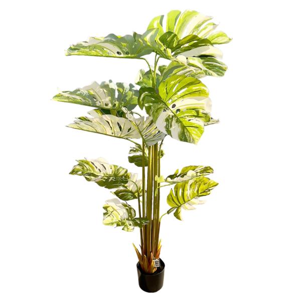 Bamboo Tree - 175cm - Image 6