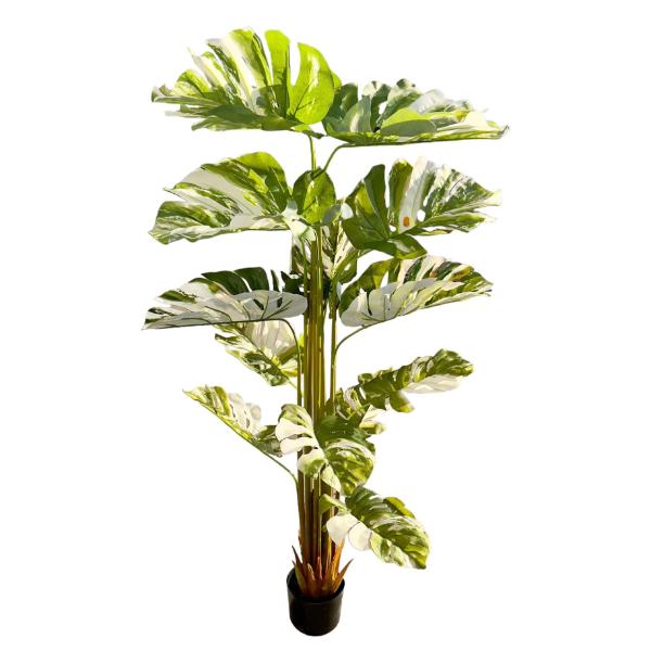 Bamboo Tree - 175cm - Image 7