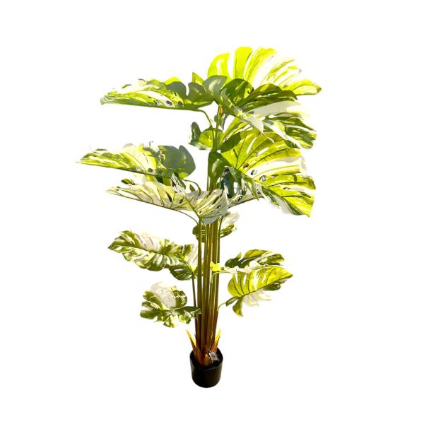 Bamboo Tree - 175cm - Image 8