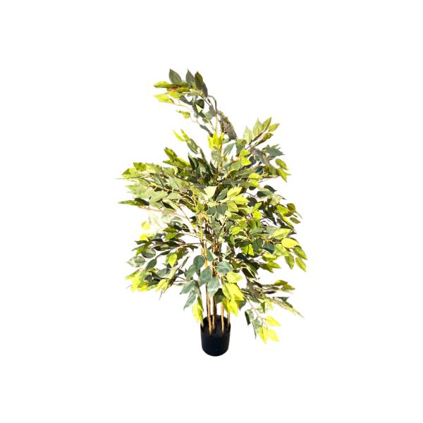 Red Leaf Tree - 180cm - Image 2