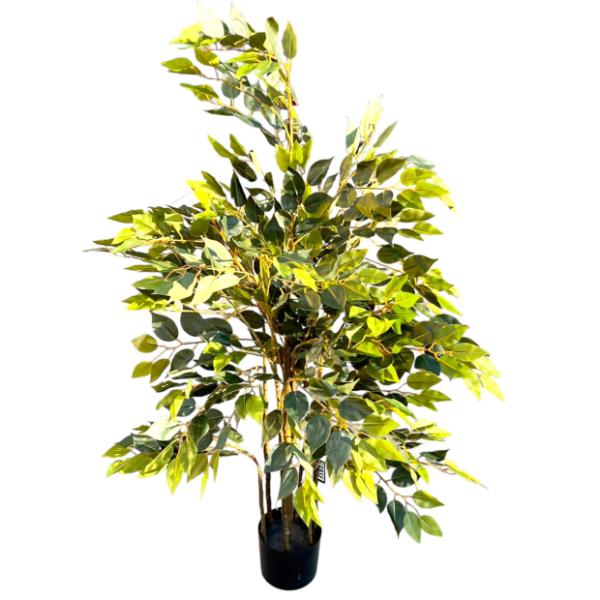 Red Leaf Tree - 180cm - Image 6