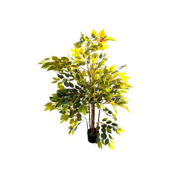 Red Leaf Tree - 180cm - Image 7