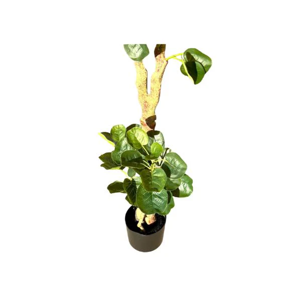 Green Money Tree - 198cm - Image 2
