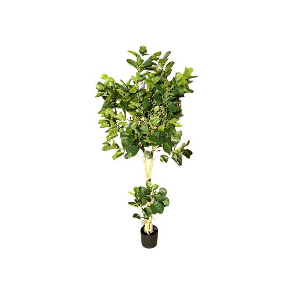 Green Money Tree - 198cm - Image 4