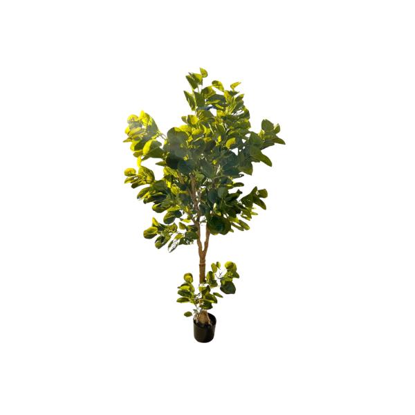 Green Money Tree - 198cm - Image 6