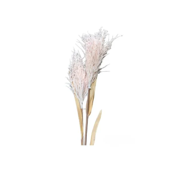 2 Baby Branch Spray - Image 2