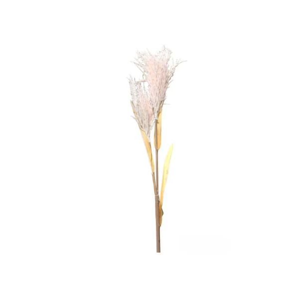 2 Baby Branch Spray - Image 3