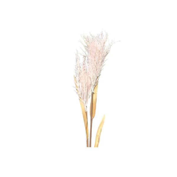2 Baby Branch Spray - Image 8