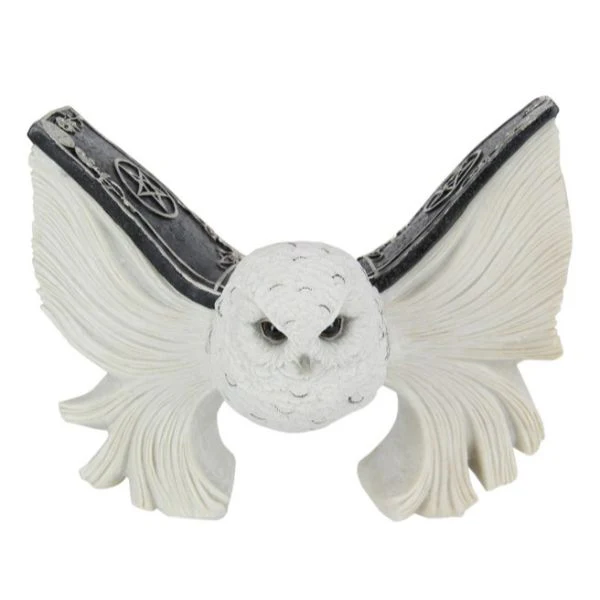 Mystical Flying White Owl with Spell Book Wings - 21cm