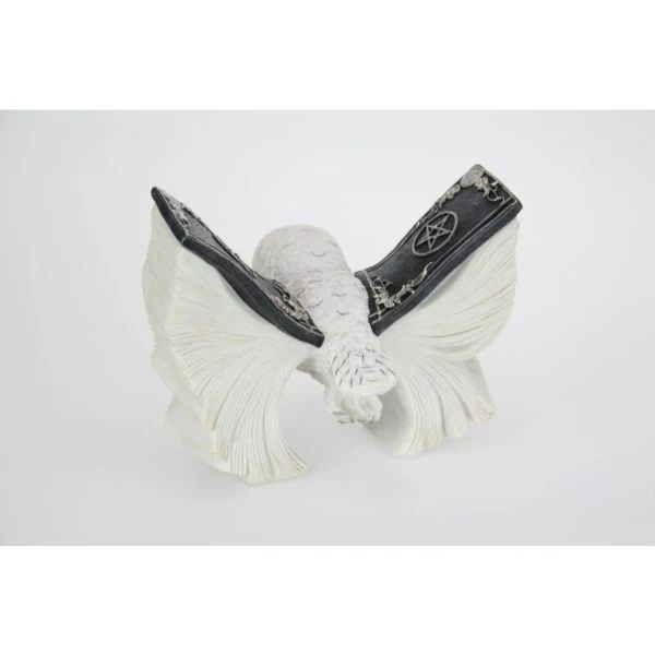 Mystical Flying White Owl with Spell Book Wings - 21cm - Image 3