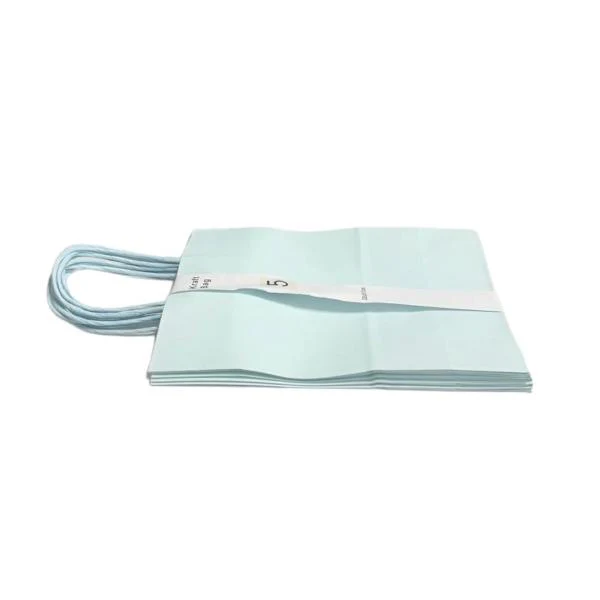 5 Pack Light Blue Kraft Bag - 22cm x 28cm x 11cm - Image 2