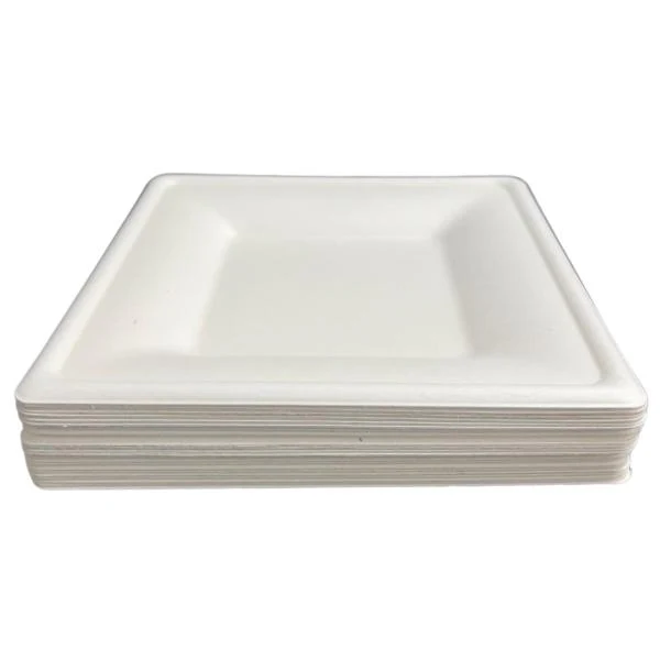 25 Pack Eco Friendly Zafpack Square Sugarcane Tray - 16cm - Image 3