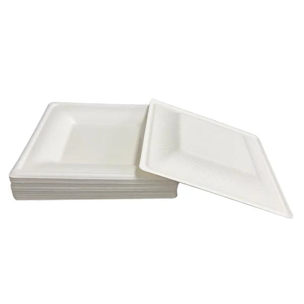 25 Pack Eco Friendly Zafpack Square Sugarcane Tray - 16cm - Image 4