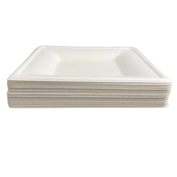 25 Pack Eco Friendly Zafpack Square Sugarcane Tray - 16cm - Image 5