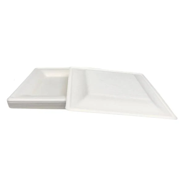 25 Pack Eco Friendly Zafpack Square Sugarcane Tray - 26cm - Image 2