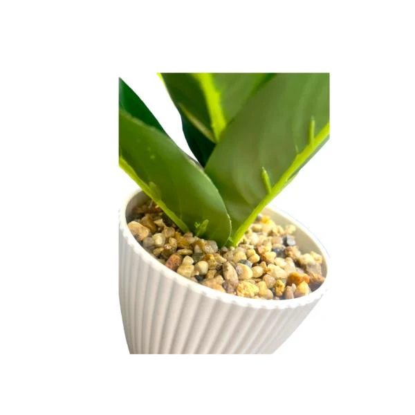 Green Leaf Potted Plant - 25cm - Image 2