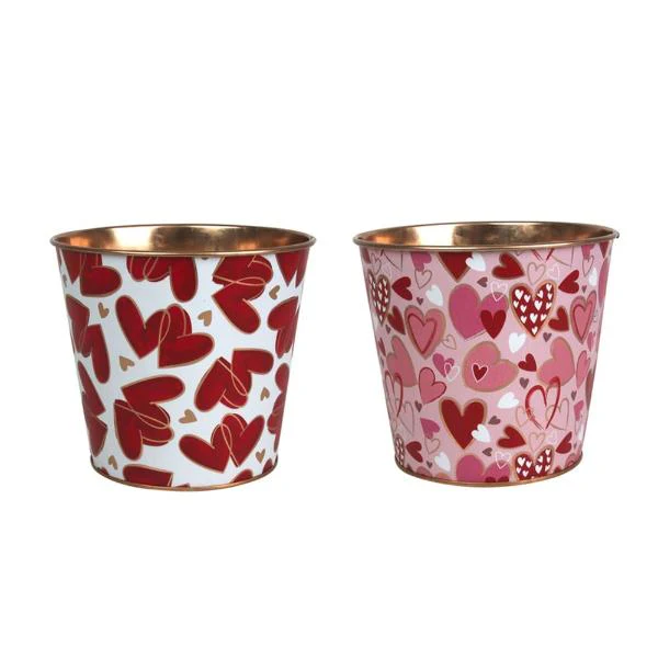 Assorted Metal Valentine Planter - 13.5cm x 12.2cm