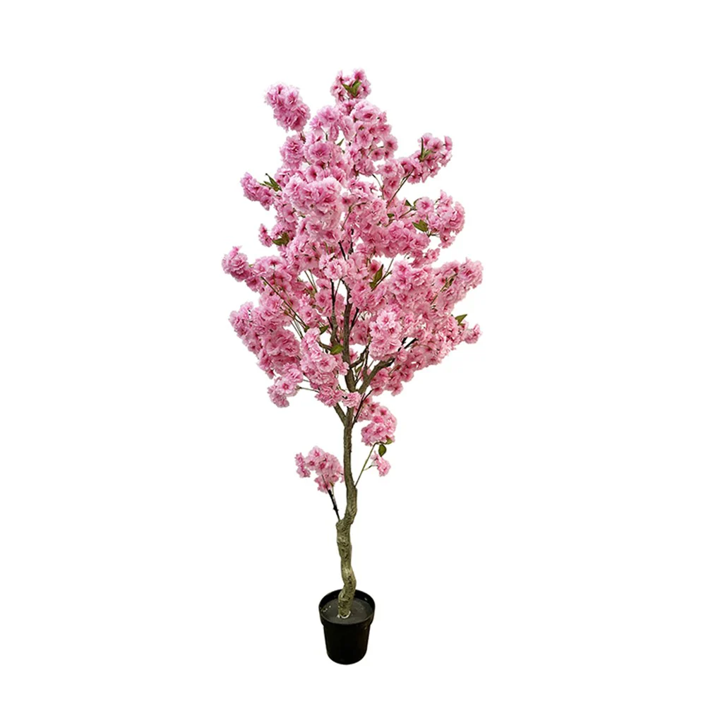 Pink Cherry Blossom Tree In Pot - 200cm