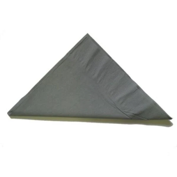 100 Pack Silver 2Ply Lunch Napkin