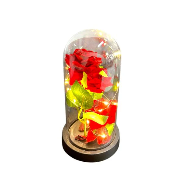 3 Forever Rose In Glass Dome With Led - Image 11
