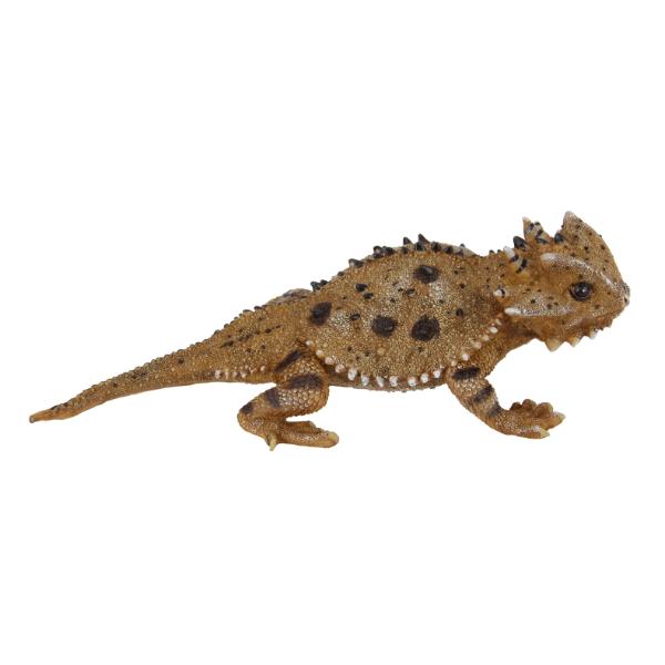 Devil Thorny - 31cm