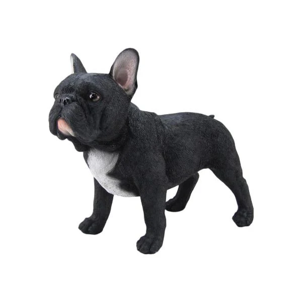 Standing Black French Bulldog - 36cm