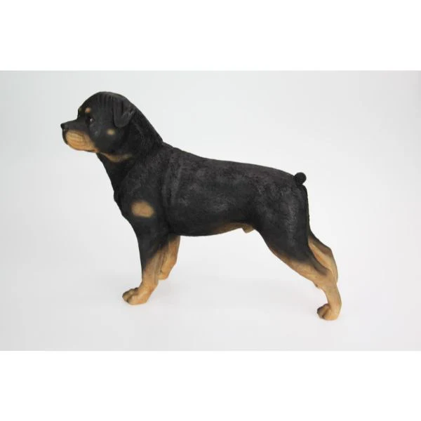 Standing Black Rottweiler Dog - 38cm x 30cm - Image 4