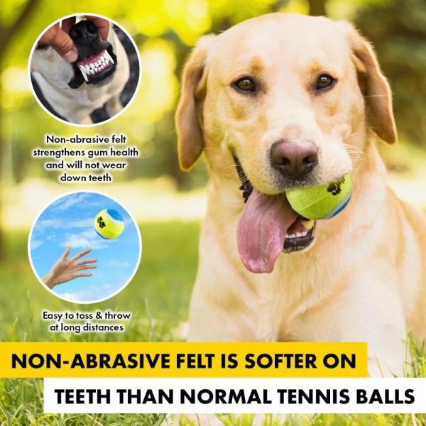 3 Pack Dog Fetch Tennis Balls - Image 3