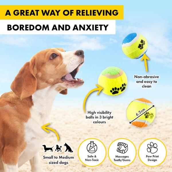 3 Pack Dog Fetch Tennis Balls - Image 4