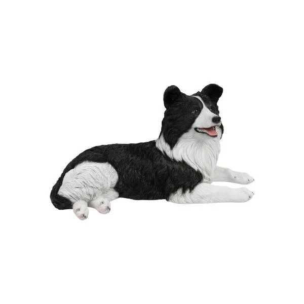 Laying Border Collie - 42cm