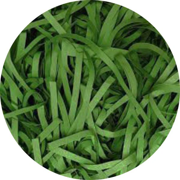 Christmas Green Shredded Paper - 50g