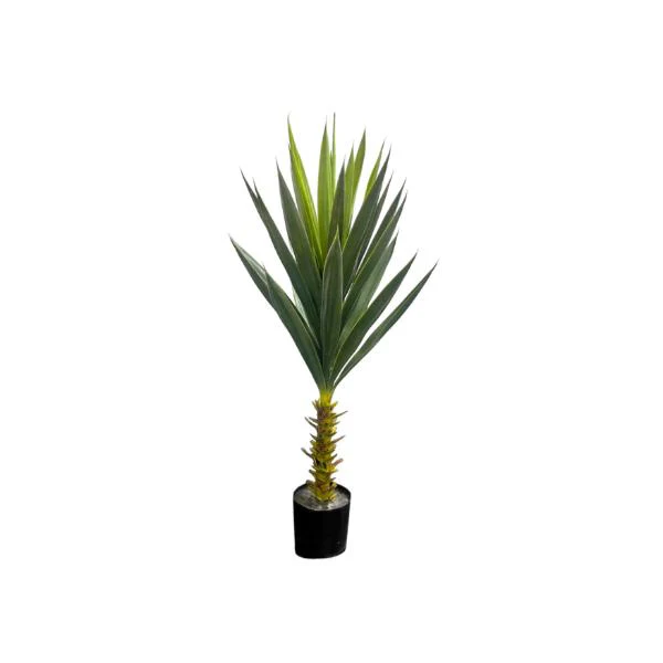 Green Aleo Potted Tree - 85cm - Image 2