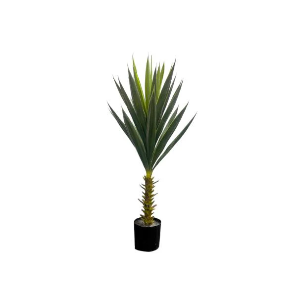 Green Aleo Potted Tree - 85cm - Image 3
