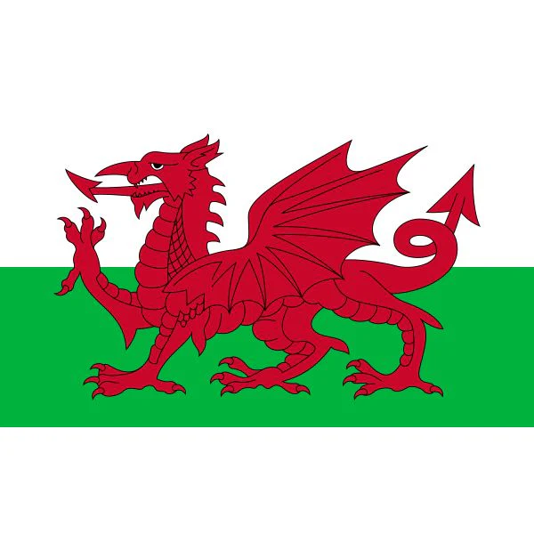 Wales Flag - 90cm x 150cm