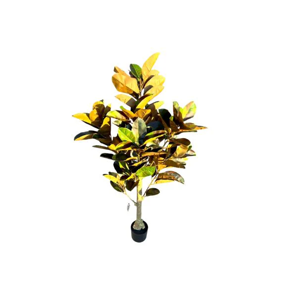 Arrow Root Potted Plant - 150cm