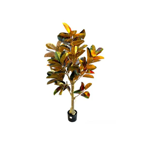 Arrow Root Potted Plant - 150cm - Image 2