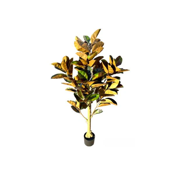 Arrow Root Potted Plant - 150cm - Image 3