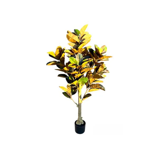 Arrow Root Potted Plant - 150cm - Image 4