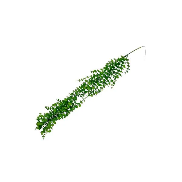 Artificial Hanging Eucalyptus - 75cm x 10cm